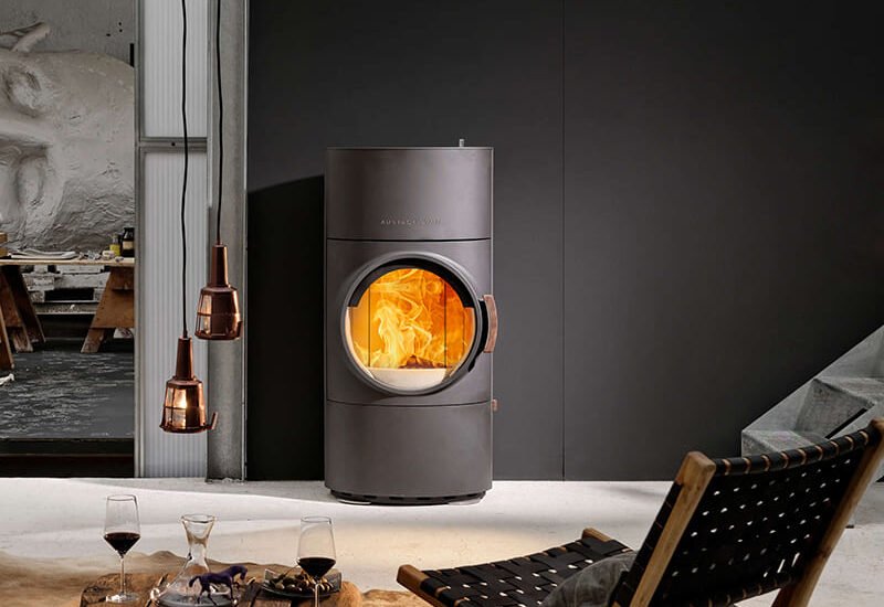 biomass ignition element